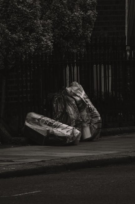 Insider tips skip hire versus rubbish removal in Battersea